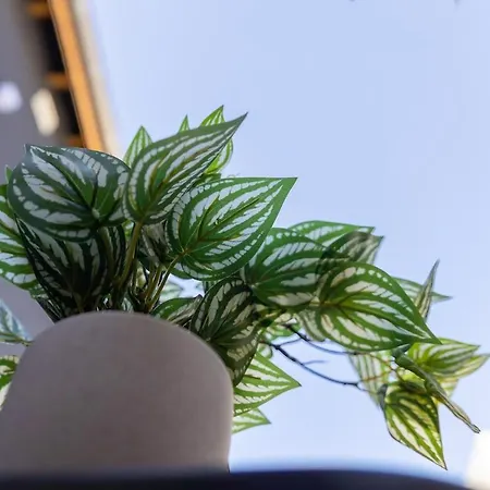 6ty Nest - Cour Privee - Paris Apartmán
